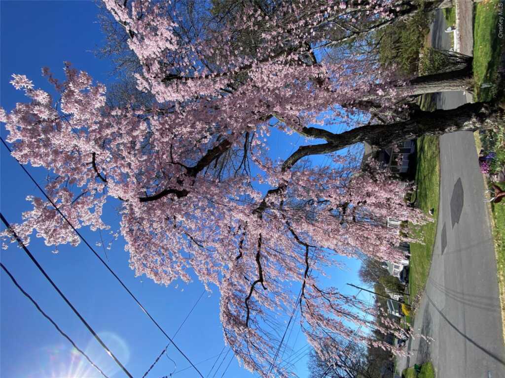 315 Manor Boulevard, Pearl River, NY 10965 - Photo 16 of 33