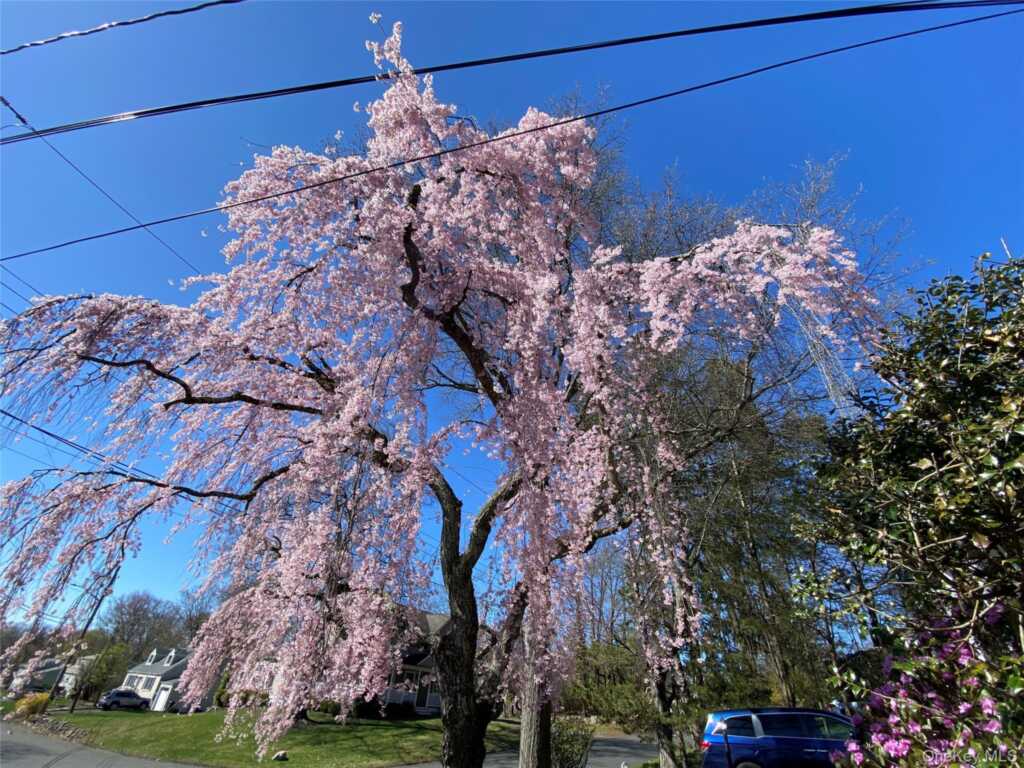 315 Manor Boulevard, Pearl River, NY 10965 - Photo 18 of 33