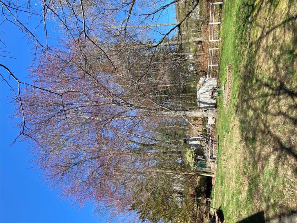 315 Manor Boulevard, Pearl River, NY 10965 - Photo 19 of 33