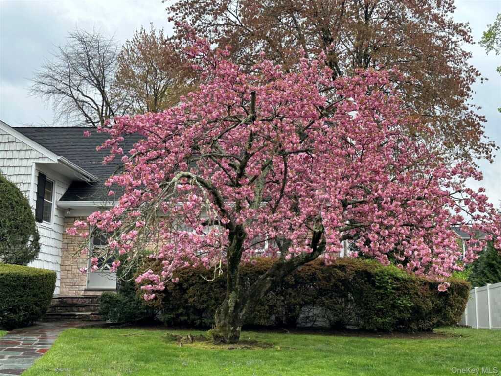 285 Stuart Drive, New Rochelle, NY 10804 - Photo 2 of 37