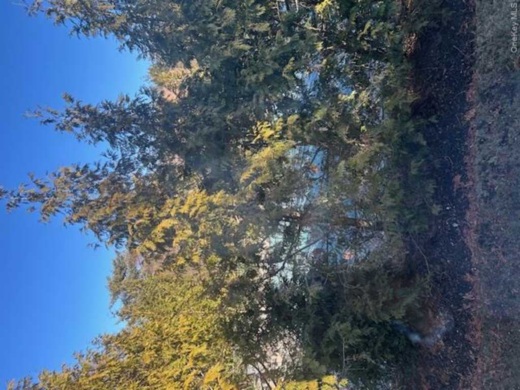 40 Aspen Court, Nanuet, NY 10954 - Photo 20 of 21