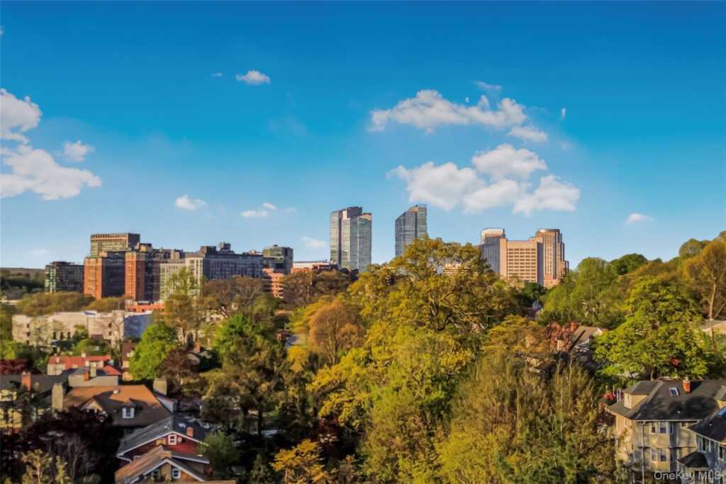 145 Walworth Avenue, White Plains, NY 10606 - Photo 30 of 36