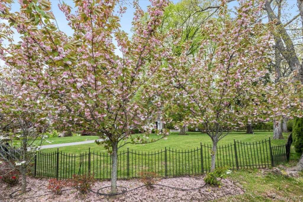 1162 North Avenue, New Rochelle, NY 10804 - Photo 29 of 34