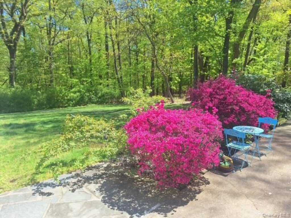 101 Gatto Lane, Pearl River, NY 10965 - Photo 6 of 28