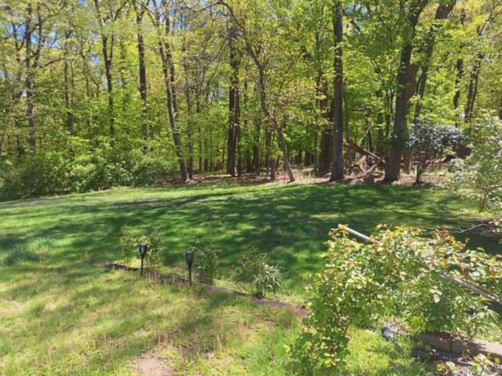 101 Gatto Lane, Pearl River, NY 10965 - Photo 7 of 28