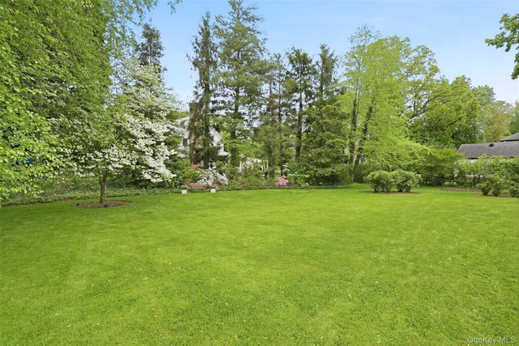 164 Julian Street, Rye, NY 10580 - Photo 4 of 38