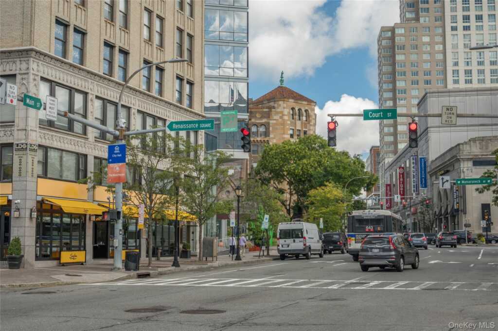 50 Dekalb Avenue, Unit #N4F, White Plains, NY 10605 - Photo 24 of 25