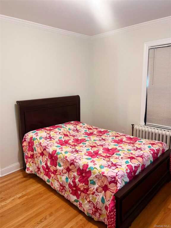 69 Treno Street, New Rochelle, NY 10801 - Photo 15 of 24