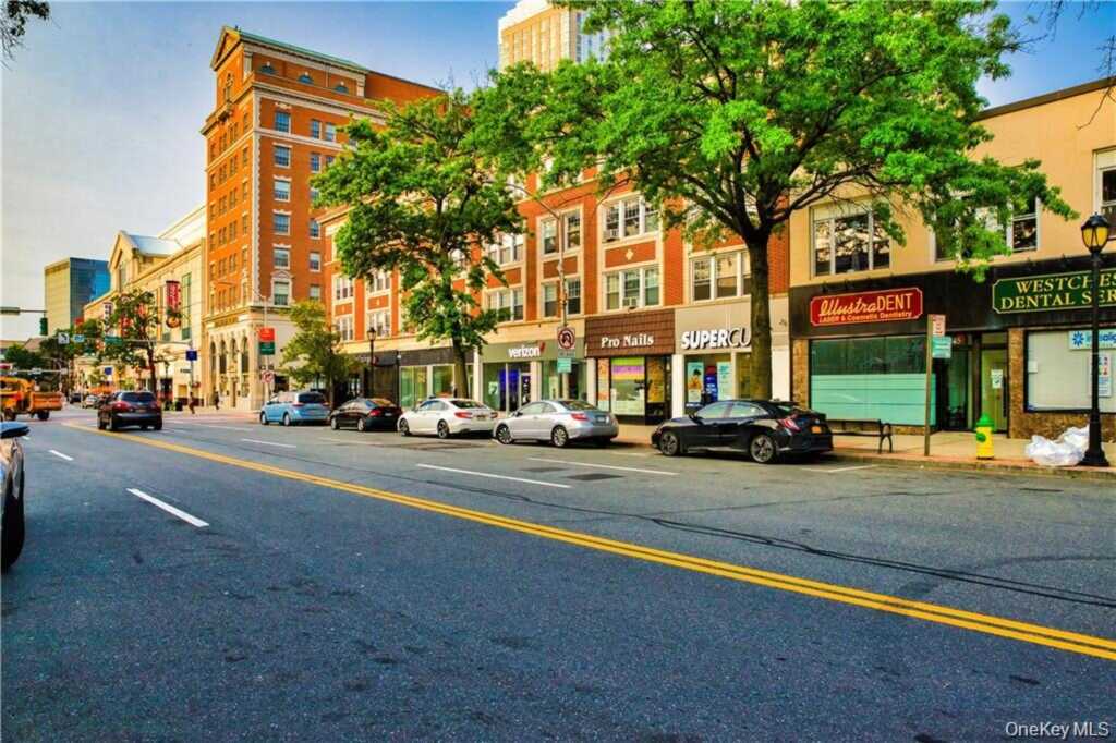 16 Lake Street, Unit #4E, White Plains, NY 10603 - Photo 14 of 22