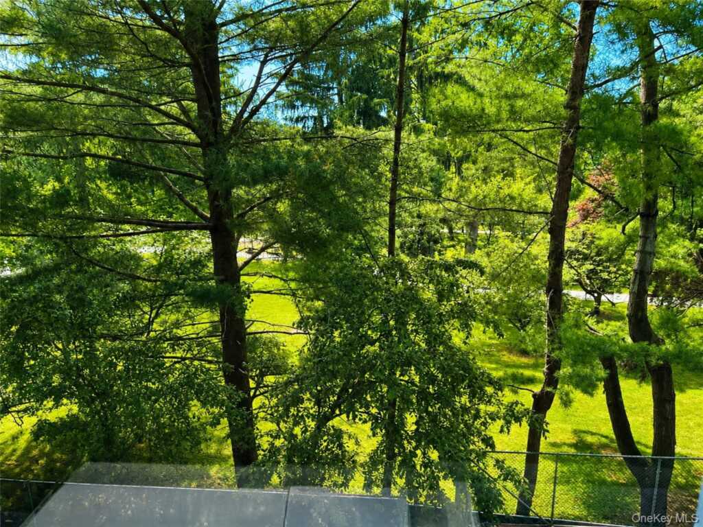 16 Lake Street, Unit #4E, White Plains, NY 10603 - Photo 8 of 22