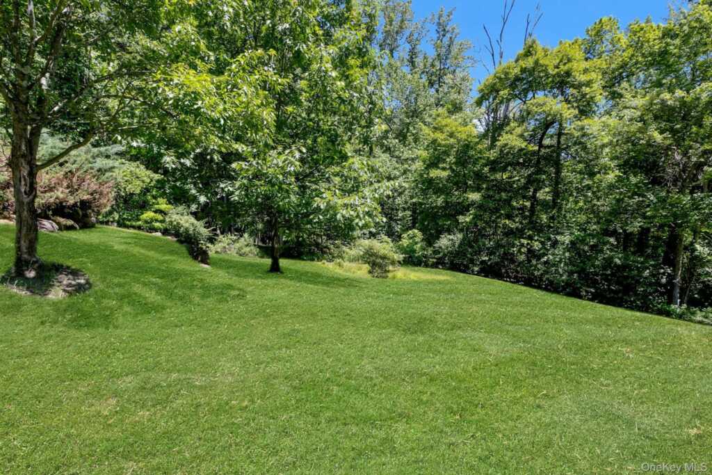 11 Badi Drive, Nyack, NY 10960 - Photo 44 of 47