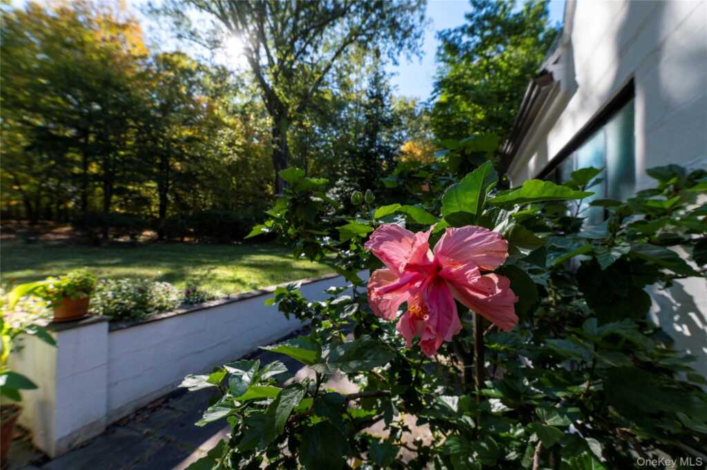 164 S Mountain Road, New City, NY 10956 - Photo 47 of 49