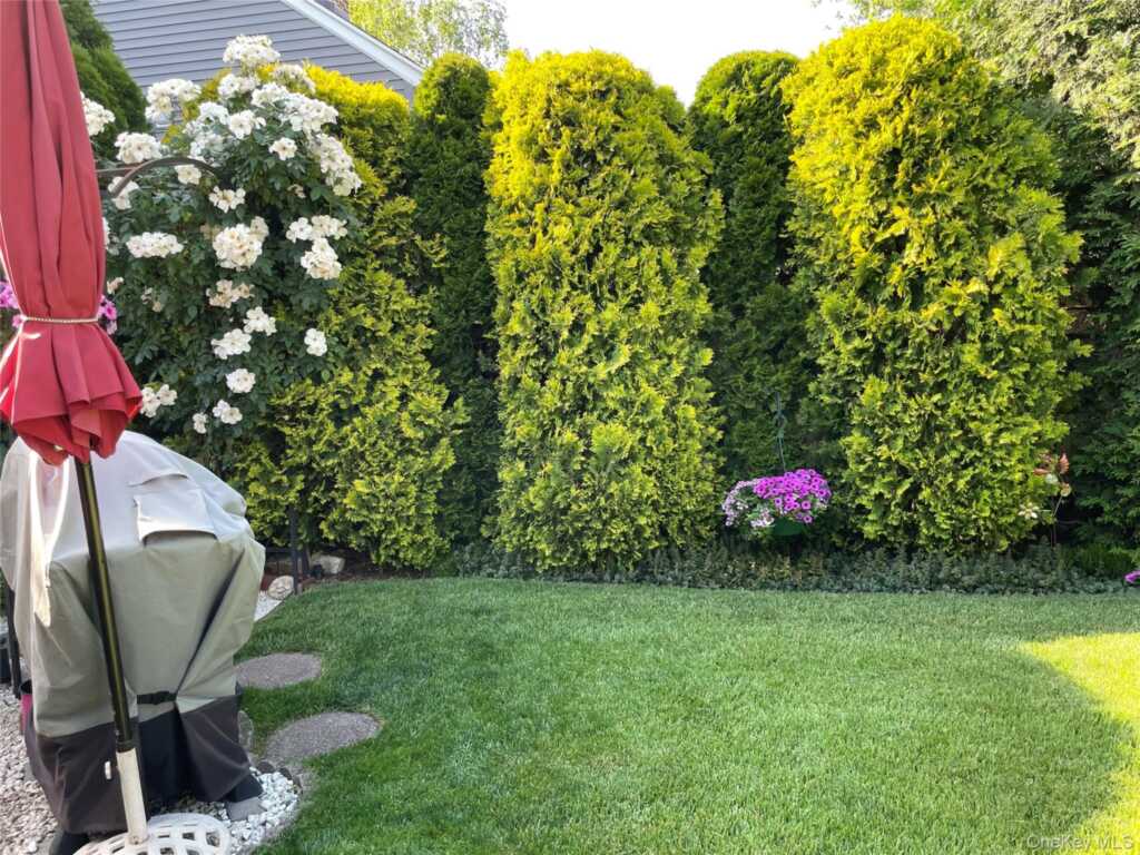 11 Brook Road, Rye, NY 10573 - Photo 34 of 38
