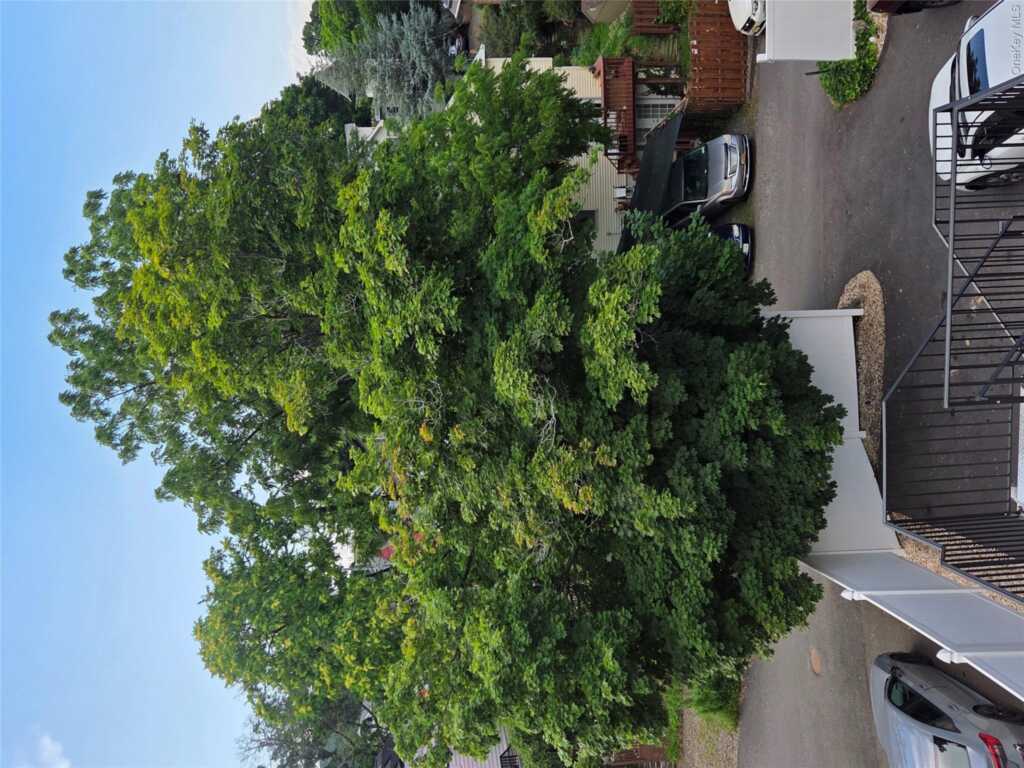 210 Main Street, Unit #3, Nyack, NY 10960 - Photo 4 of 15