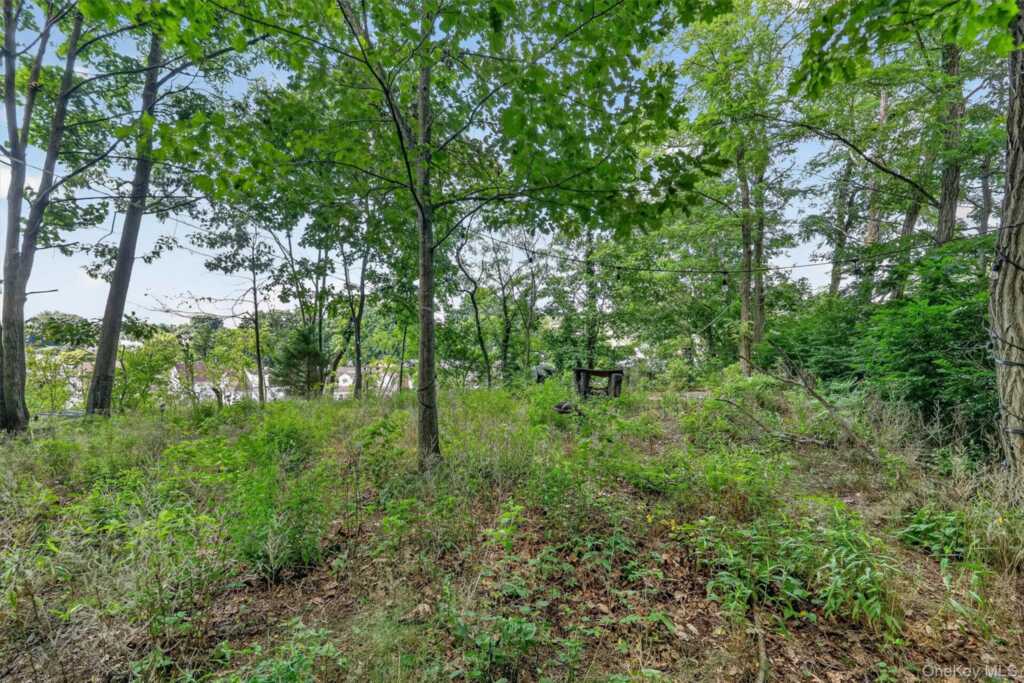 273 Madison Avenue, Rye, NY 10573 - Photo 39 of 39