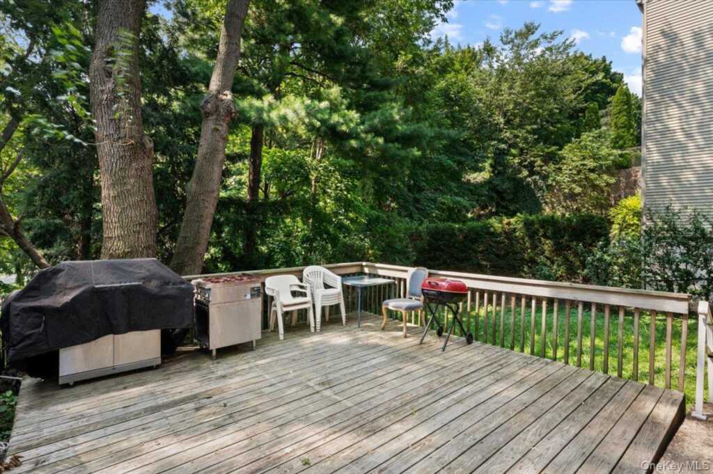 288 Olivia Street, Rye, NY 10573 - Photo 4 of 21
