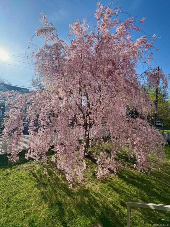 1 Dale Street, Rye, NY 10580 - Photo 27 of 28