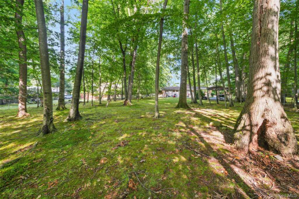 29 Fay Road, New City, NY 10956 - Photo 37 of 41