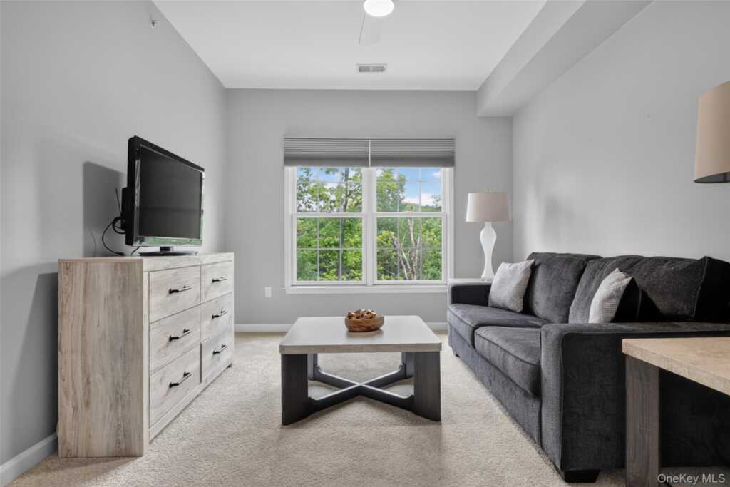 24 N De Baun Avenue, Unit #305, Suffern, NY 10901 - Photo 33 of 48