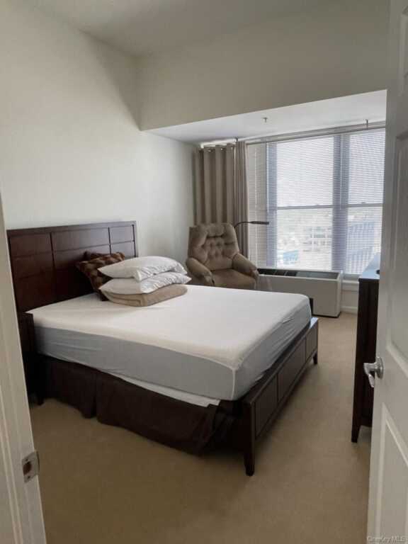 100 New Roc City Place, Unit #417, New Rochelle, NY 10801 - Photo 12 of 22