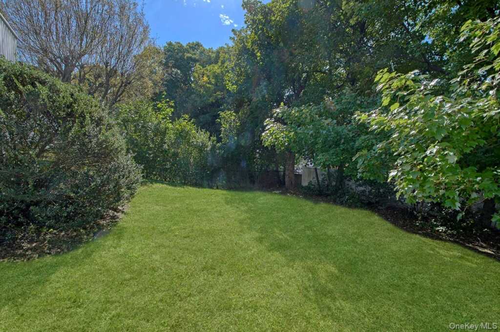 41 Mount Morris Avenue, White Plains, NY 10604 - Photo 25 of 28